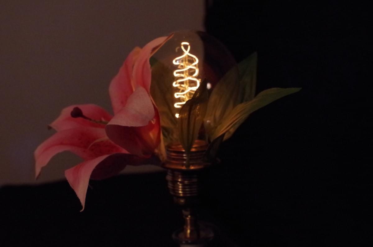 Lady Ada lamp view
